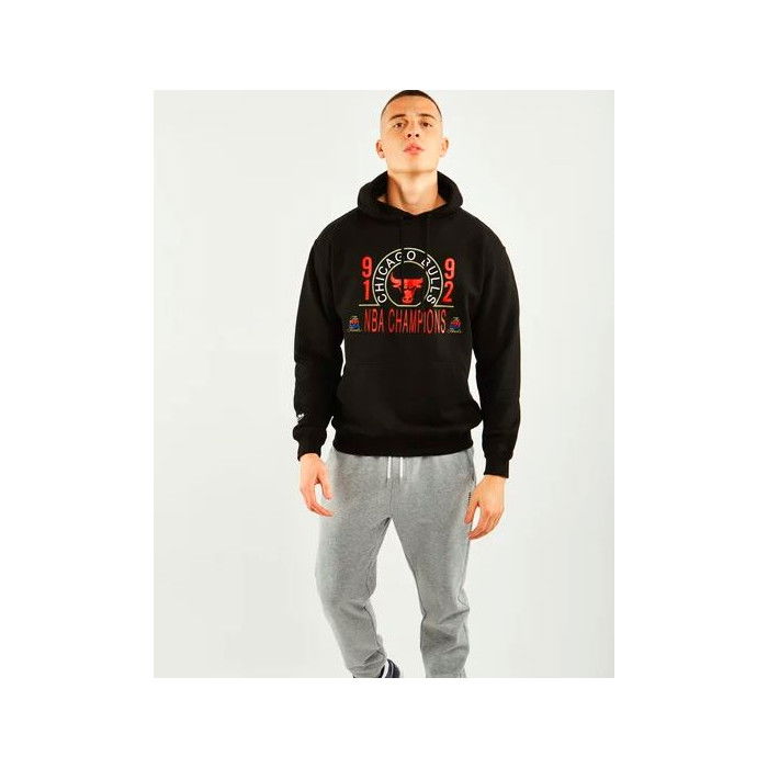 bulls champion hoodie