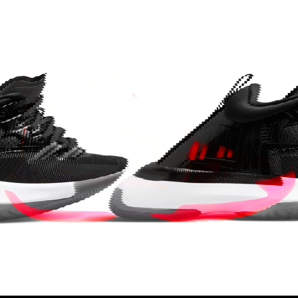 zion 1 gs