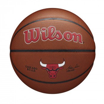 Ballon Wilson NBA Team Alliance Chicago Bulls | Wilson