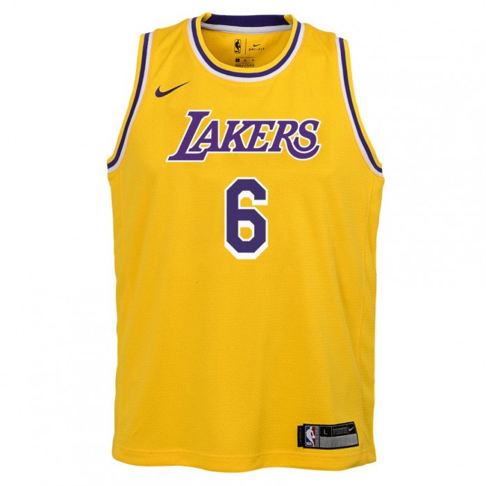 Maillot NBA Enfant Lebron James Los Angeles Lakers Nike Icon Edition Swingman 6