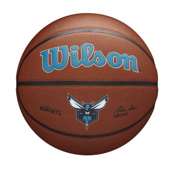 Ballon Wilson NBA Team Alliance Charlotte Hornets | Wilson