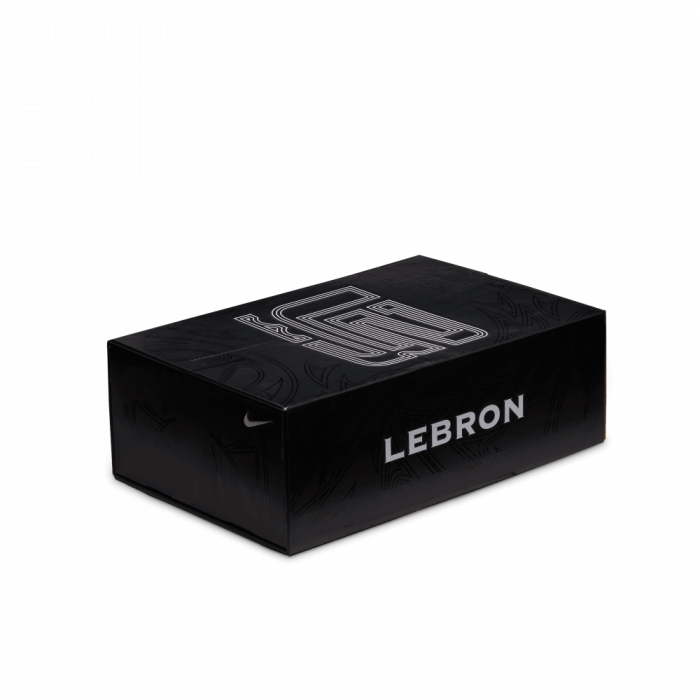 Nike Lebron 2 Retro Maccabi image n°6