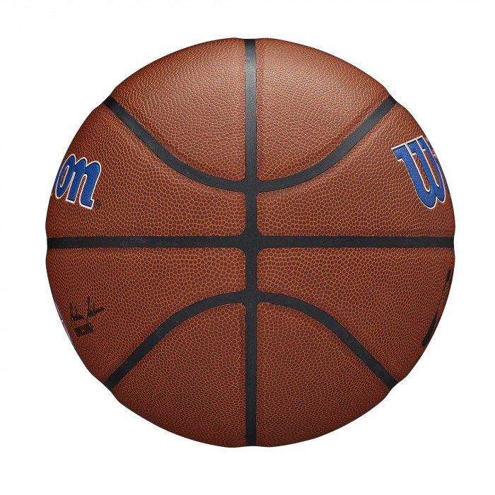 Ballon Wilson NBA Team Alliance Detroit Pistons image n°5