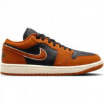 Color Orange du produit Air Jordan 1 Low SE Spice Women