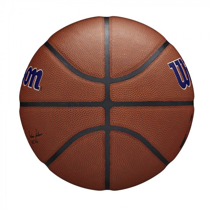 Ballon Wilson NBA Team Alliance Phoenix Suns image n°4