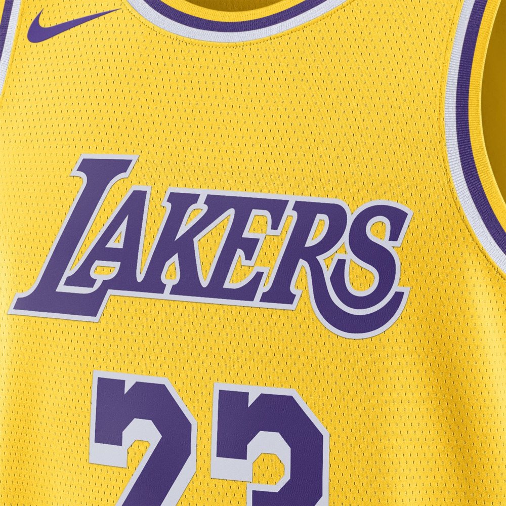 copy of Lebron James Lakers Icon Edition