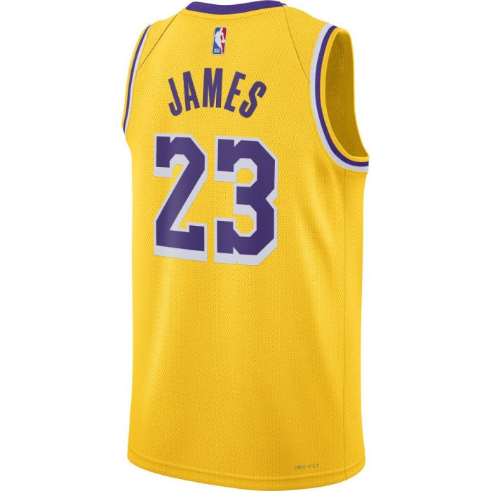 Maillot NBA Lebron James Los Angeles Lakers Icon Edition 2023/2024 23 image n°3