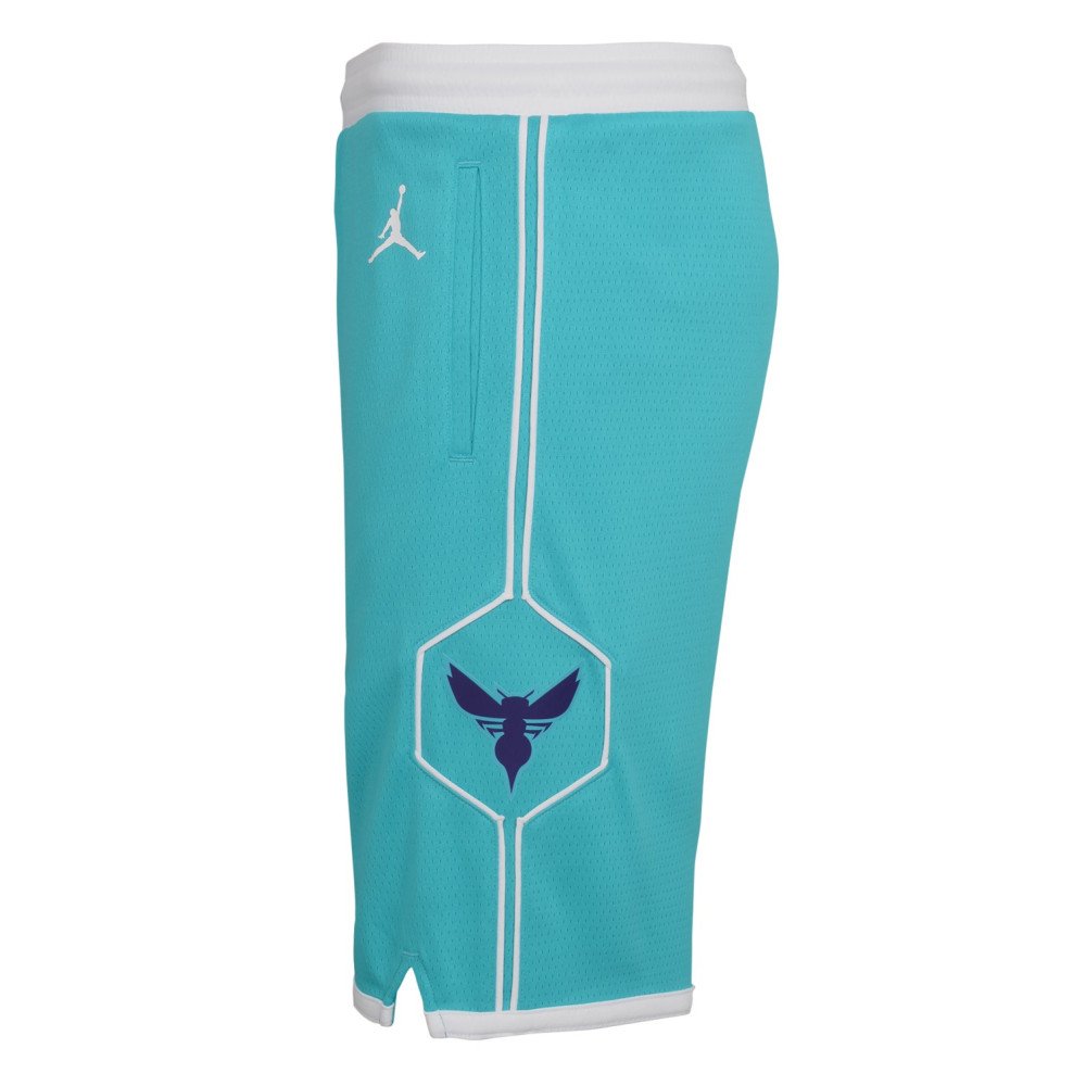 Hornets Icon Edition 2020 Men's Jordan NBA Swingman Shorts