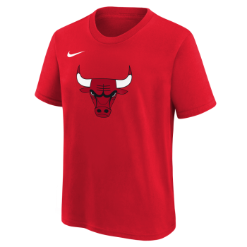 Nk Essential Logo Tee I Chicago Bulls NBA | Nike