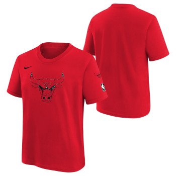T-shirt NBA Enfant Chicago Bulls Nike Essentials | Nike