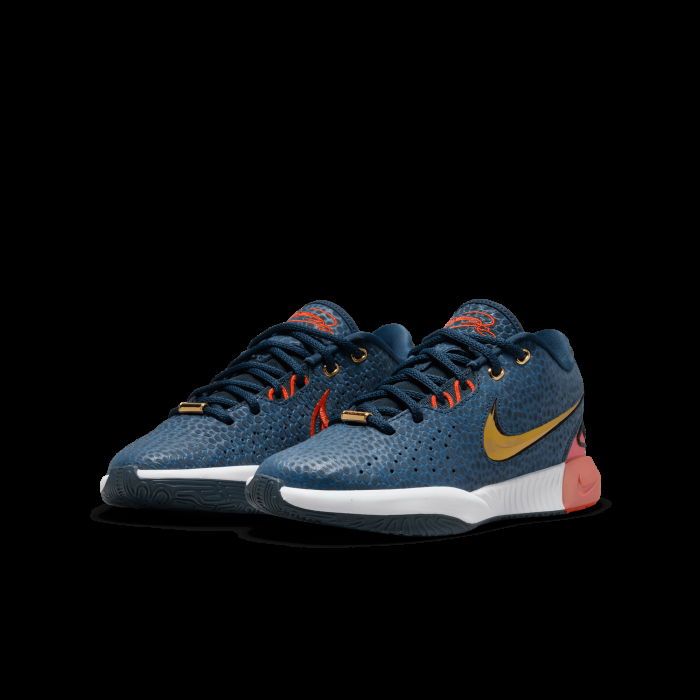 Nike Lebron 21 SE Redeem the Dream Kids GS image n°3