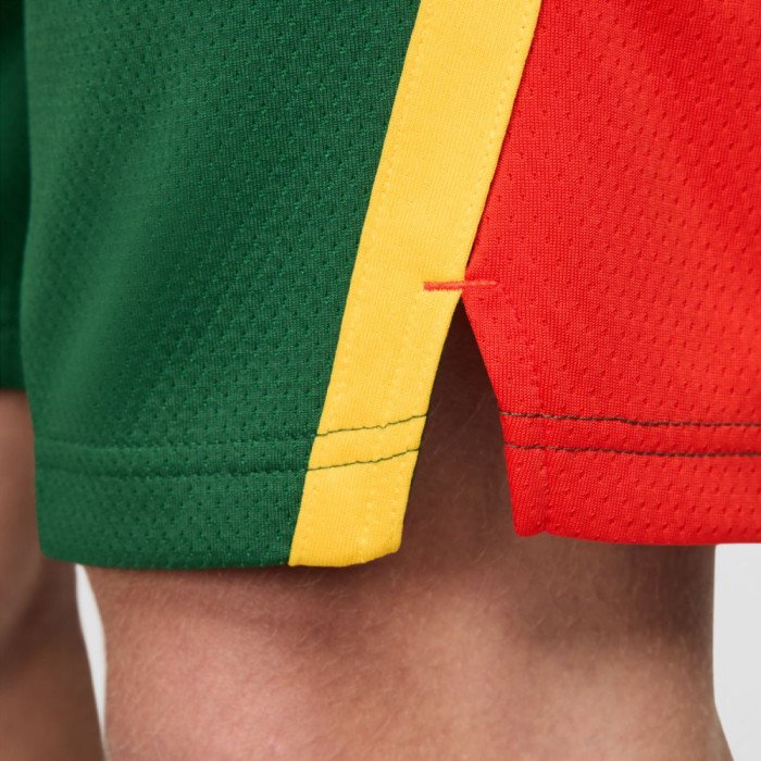 Short Nike Team Lithuania Limited Road image n°8