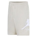 Color Beige / Brown of the product Short Jordan Essential HBR Baseline Legend Light Brown