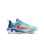 Color Blue of the product Nike Giannis Immortality 4 Seasonal Sport Enfants GS