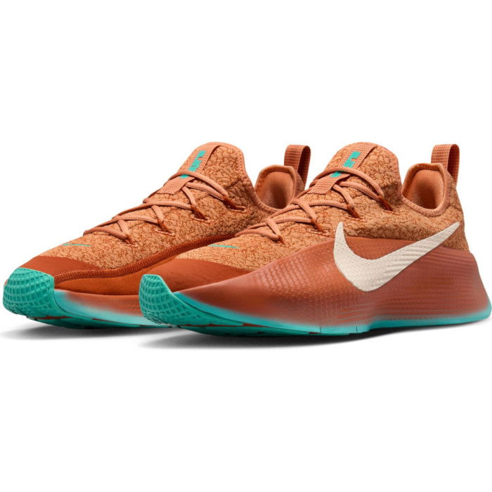 Nike Lebron TR 1 Better With Age (Patina) image n°3