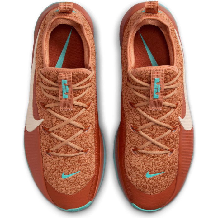 Nike Lebron TR 1 Better With Age (Patina) image n°4