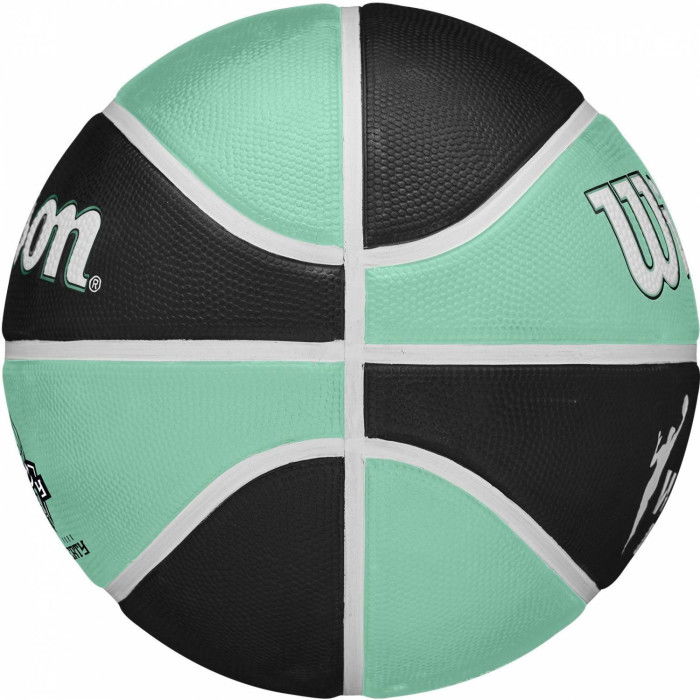 Ballon Wilson WNBA Team Tribute New York Liberty