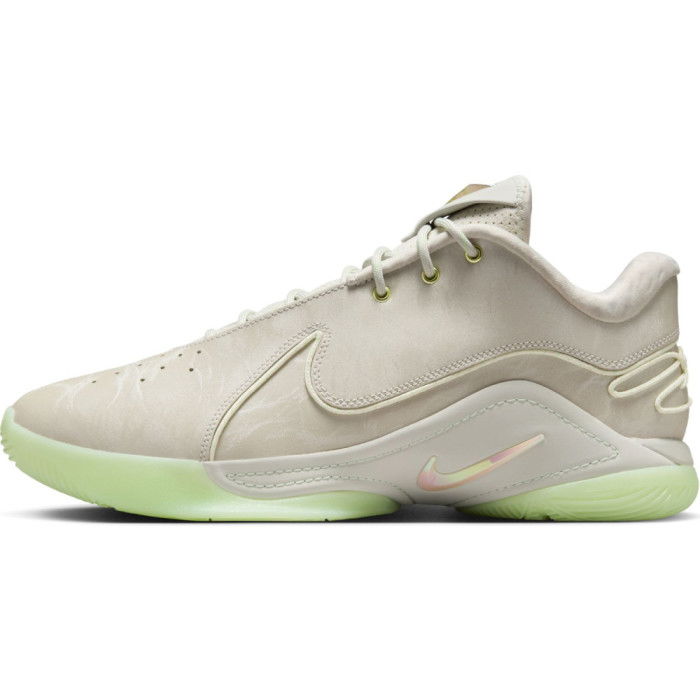 Nike Lebron 22 Dunkman