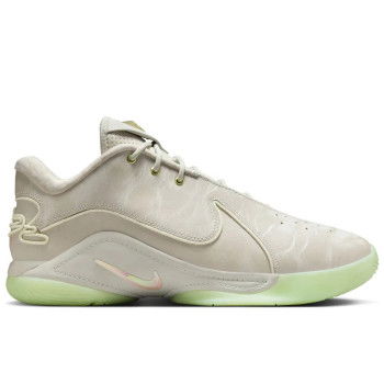 Nike Lebron 22 Dunkman