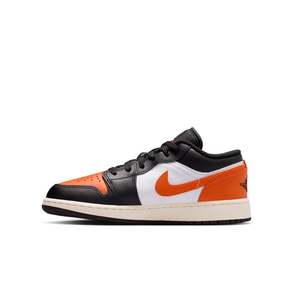 shattered backboard starfish