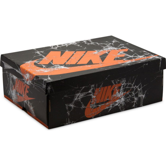 Air Jordan 1 Retro High OG Shattered Backboard