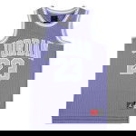 Barva Violet produktu Jordan 23 Kids Dusty Amethyst Jersey