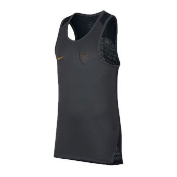Maillot Nike Dry Lebron anthracite/black