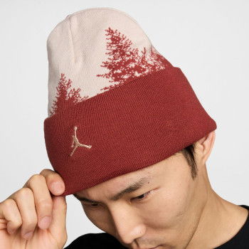 Beanie Jordan Gift Gving AOJ fossil