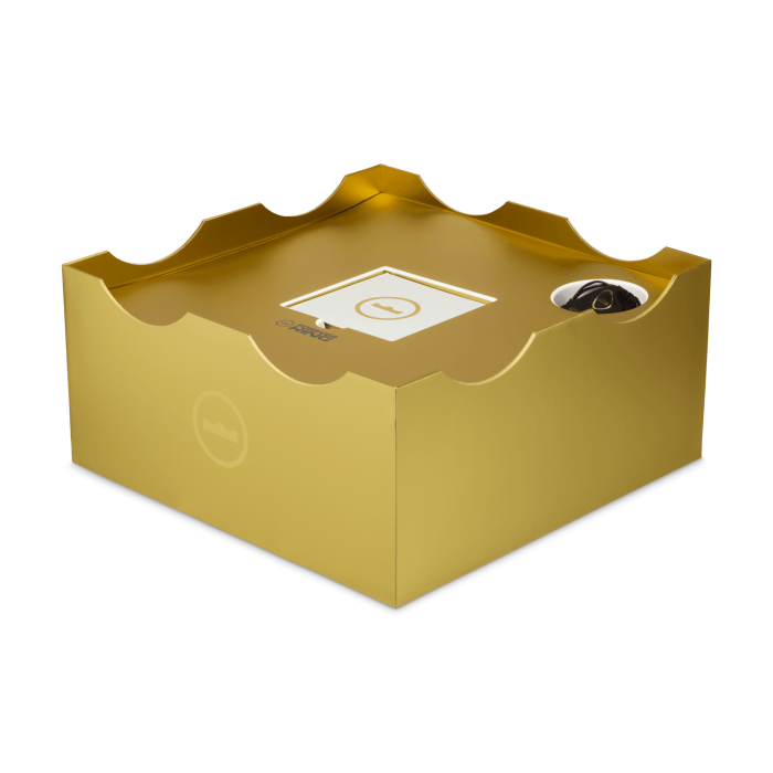 Nike LeBron 23 Vyvolený