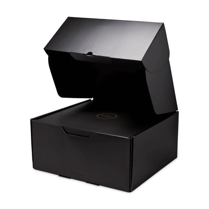 Inaugurazione del Nike LeBron 23