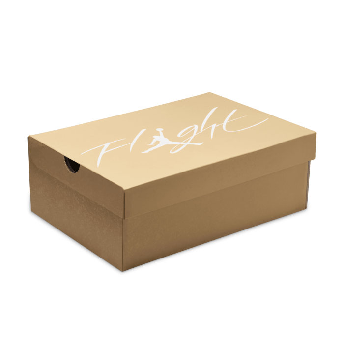 Air Jordan 4 Retro WMNS aluminiu