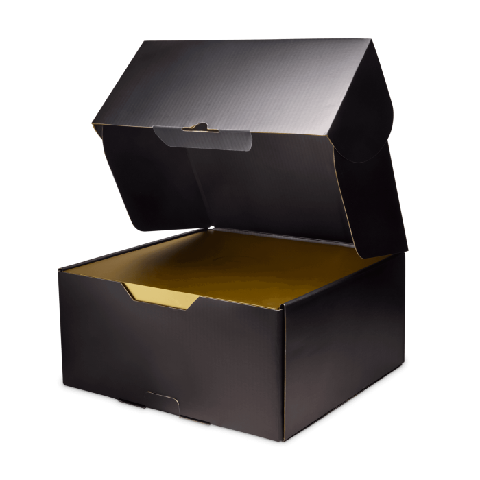 Nike LeBron 23 αγόρι φούσκα