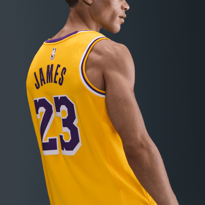 Maillot NBA Lebron James Los Angeles Lakers Icon Edition 2023/2024 23