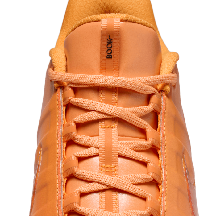 Nike Book 2 The Phœnix 