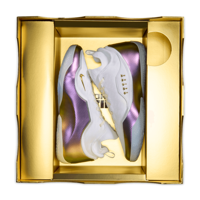 Nike Lebron 23 Elite For The Record