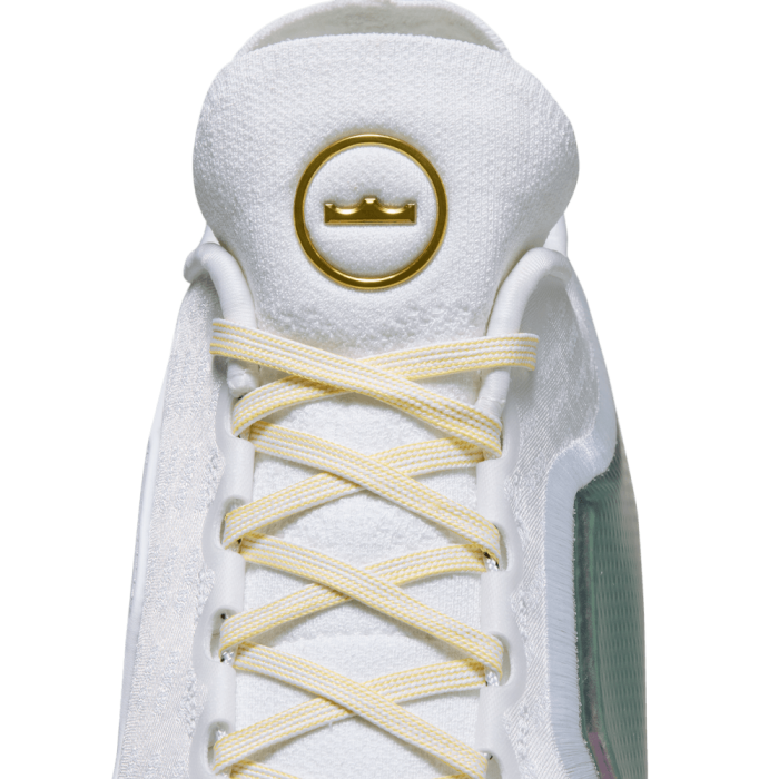 Nike Lebron 23 Elite For The Record