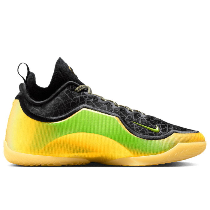 Nike LeBron 23 Elite Hurt Feelings Write History