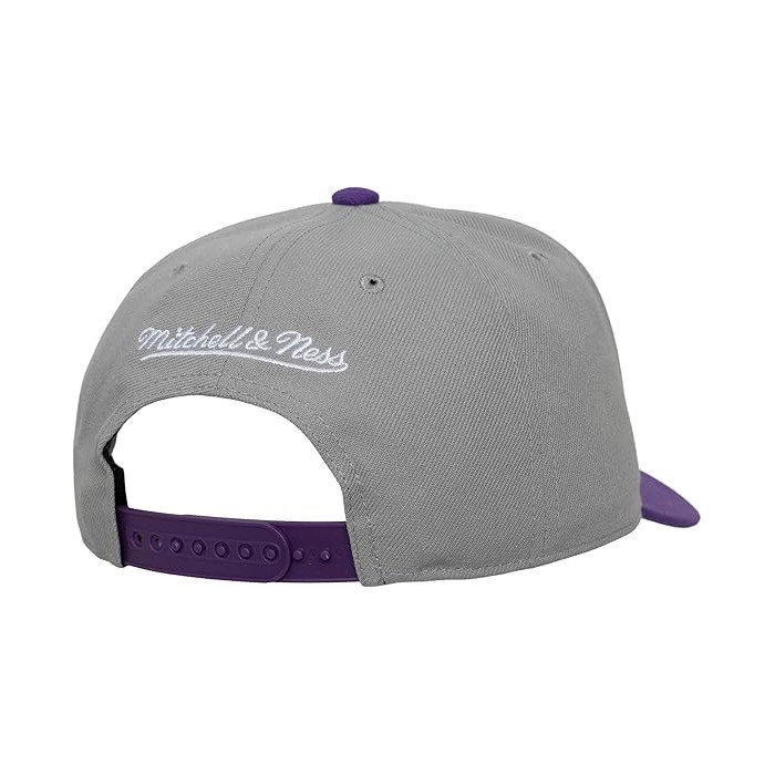Casquette NBA Toronto Raptors HWC Legendary Home Pro Snapback Mitchell & Ness
