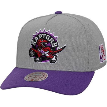 Casquette NBA Toronto Raptors HWC Legendary Home Pro Snapback Mitchell & Ness