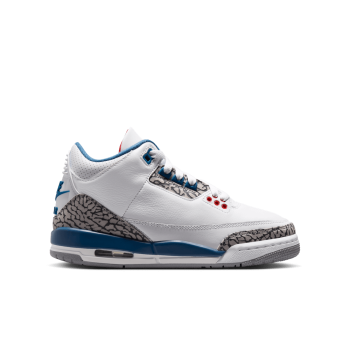 Air Jordan 3 Retro True Blue