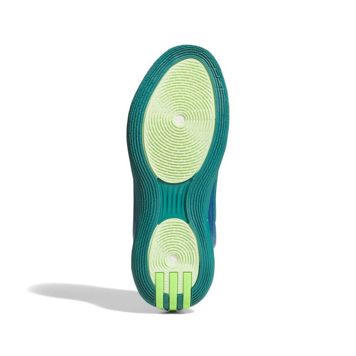 adidas Harden Volume 10 Northern Lights