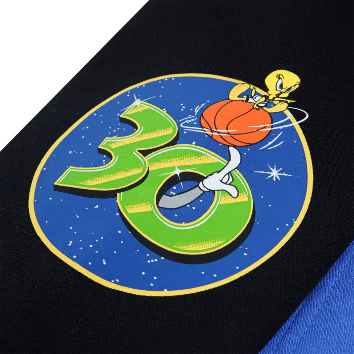 Sweat Jordan Petit Enfant JDB&nbsp;Space&nbsp;Jam&nbsp;30&nbsp;PO Hoody Multi
