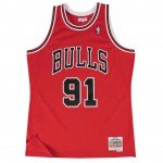Color Red of the product Swingman Jersey - Dennis Rodman 91 Red/black