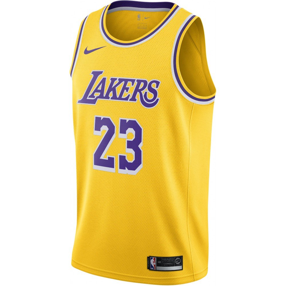  Maillot LeBron James  Los Angeles Lakers Nike Icon Edition 