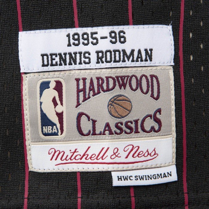 Maillot NBA Dennis Rodman Chicago Bulls 1995-96 black image n°3