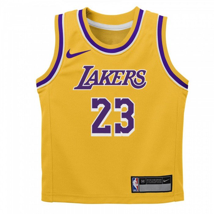 Lakers Lebron James Nba Nike 