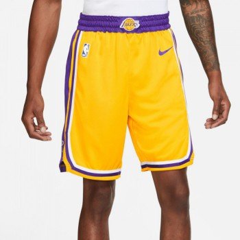 Short Los Angeles Lakers Nike NBA Icon Edition Swingman | Nike