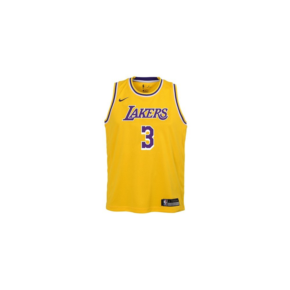 Maillot NBA enfant Anthony Davis Los Angeles Lakers Nike Icon Edition  Swingman - Basket4Ballers