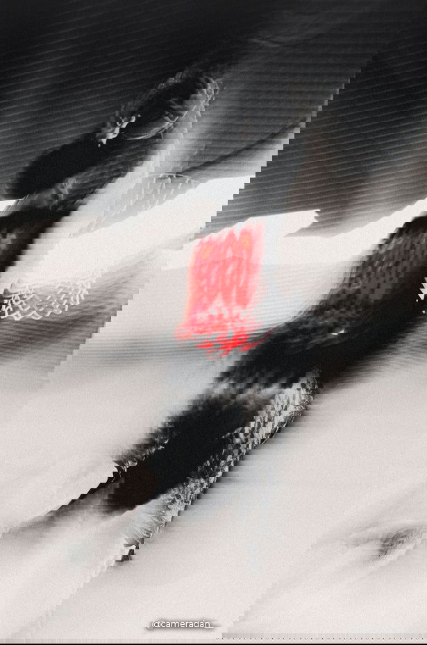 Collection b4b One Love