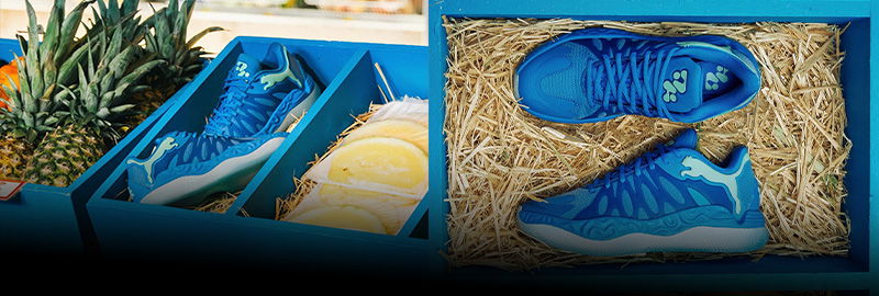 Puma Hali 1
